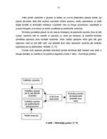 Referāts 'Pansijas "Saulrieti" izveides un attīstības plāns ', 33.