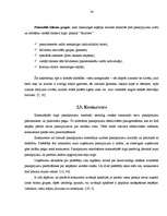 Referāts 'Pansijas "Saulrieti" izveides un attīstības plāns ', 34.