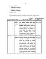 Referāts 'Pansijas "Saulrieti" izveides un attīstības plāns ', 36.