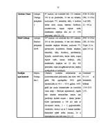 Referāts 'Pansijas "Saulrieti" izveides un attīstības plāns ', 37.