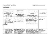 Prakses atskaite 'Aprūpes plāns', 21.