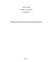 Referāts 'Uzņēmuma produkcijas realizācija biznesa tirgū', 1.