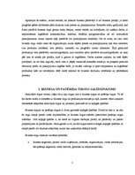 Referāts 'Uzņēmuma produkcijas realizācija biznesa tirgū', 5.