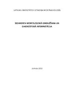 Konspekts 'Sedimenta morfoloģiskā izmeklēšana un diagnostiskā interpretācija', 1.
