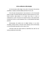 Konspekts 'Sedimenta morfoloģiskā izmeklēšana un diagnostiskā interpretācija', 2.