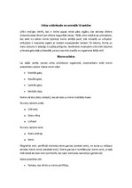 Konspekts 'Sedimenta morfoloģiskā izmeklēšana un diagnostiskā interpretācija', 3.