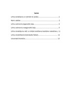 Konspekts 'Sedimenta morfoloģiskā izmeklēšana un diagnostiskā interpretācija', 17.