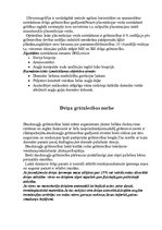 Konspekts 'Dvīņu grūtniecība', 4.