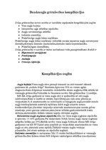 Konspekts 'Dvīņu grūtniecība', 5.