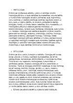 Konspekts 'Histoloģija', 1.