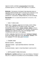 Konspekts 'Histoloģija', 4.