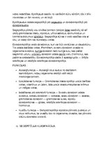 Konspekts 'Histoloģija', 5.