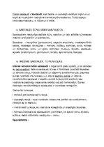 Konspekts 'Histoloģija', 8.