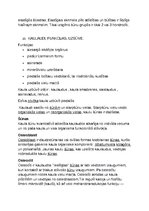 Konspekts 'Histoloģija', 11.