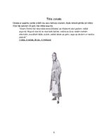 Konspekts 'Oļiņietes tēla analīze Reiņa un Matīsa Kaudzīšu romānā "Mērnieku laiki"', 5.