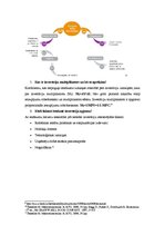 Konspekts 'Kopējais pieprasījums. Multiplikatora (reizinātāja) modelis', 5.