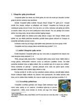 Referāts 'Olimpisko spēļu vēsture', 4.