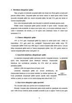 Referāts 'Olimpisko spēļu vēsture', 6.