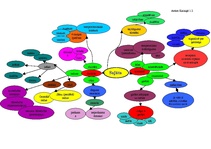 Paraugs 'Sajūtas', 1.