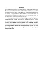 Eseja 'Valsts, civilā un vides aizsardzība', 4.