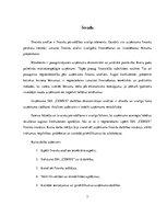 Prakses atskaite 'Uzņēmuma SIA "X" darbības efektivitāte un to analīze', 3.