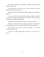 Prakses atskaite 'Uzņēmuma SIA "X" darbības efektivitāte un to analīze', 4.