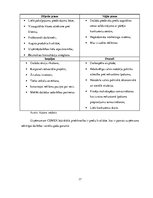 Prakses atskaite 'Uzņēmuma SIA "X" darbības efektivitāte un to analīze', 17.