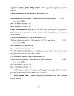 Prakses atskaite 'Uzņēmuma SIA "X" darbības efektivitāte un to analīze', 24.