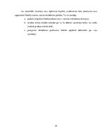 Prakses atskaite 'Uzņēmuma SIA "X" darbības efektivitāte un to analīze', 29.