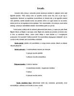 Referāts 'Mumifikācija', 1.