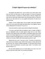 Referāts 'Mumifikācija', 6.