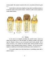 Referāts 'Mumifikācija', 11.
