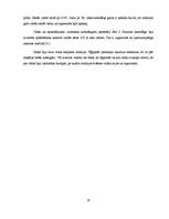 Referāts 'Mumifikācija', 14.