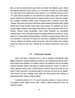 Referāts 'Mumifikācija', 17.