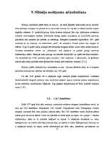 Referāts 'Mumifikācija', 21.