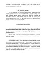 Referāts 'Mumifikācija', 25.