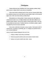 Referāts 'Mumifikācija', 29.