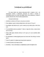 Referāts 'Mumifikācija', 30.