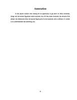 Referāts 'Mumifikācija', 32.