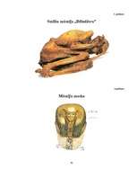 Referāts 'Mumifikācija', 40.