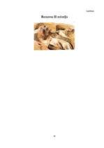 Referāts 'Mumifikācija', 43.