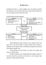 Paraugs 'Ieskaites darbs konfliktoloģijā', 2.