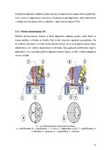 Diplomdarbs 'Dīzeļmotora barošanas sistēma ar elektriski vadāmu augstspiediena sūkni', 12.