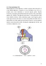 Diplomdarbs 'Dīzeļmotora barošanas sistēma ar elektriski vadāmu augstspiediena sūkni', 14.