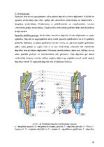 Diplomdarbs 'Dīzeļmotora barošanas sistēma ar elektriski vadāmu augstspiediena sūkni', 21.