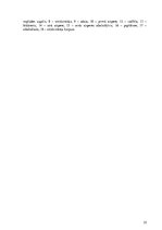 Diplomdarbs 'Dīzeļmotora barošanas sistēma ar elektriski vadāmu augstspiediena sūkni', 22.