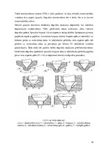 Diplomdarbs 'Dīzeļmotora barošanas sistēma ar elektriski vadāmu augstspiediena sūkni', 23.