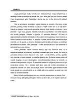 Referāts 'Personības attīstība un socializācijas process', 3.