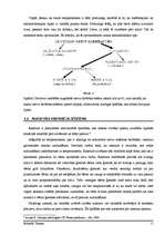 Referāts 'Personības attīstība un socializācijas process', 11.