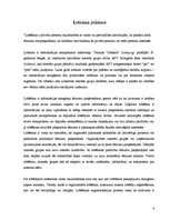 Referāts 'Lobisms Eiropas Savienībā', 4.